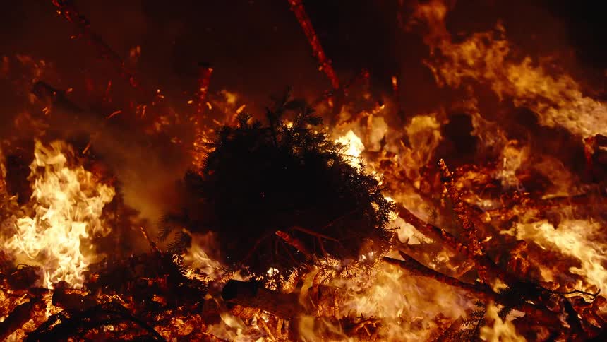 Fire burning a forest at night