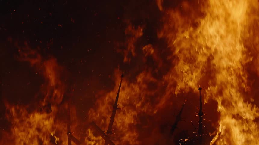 The forest is on fire