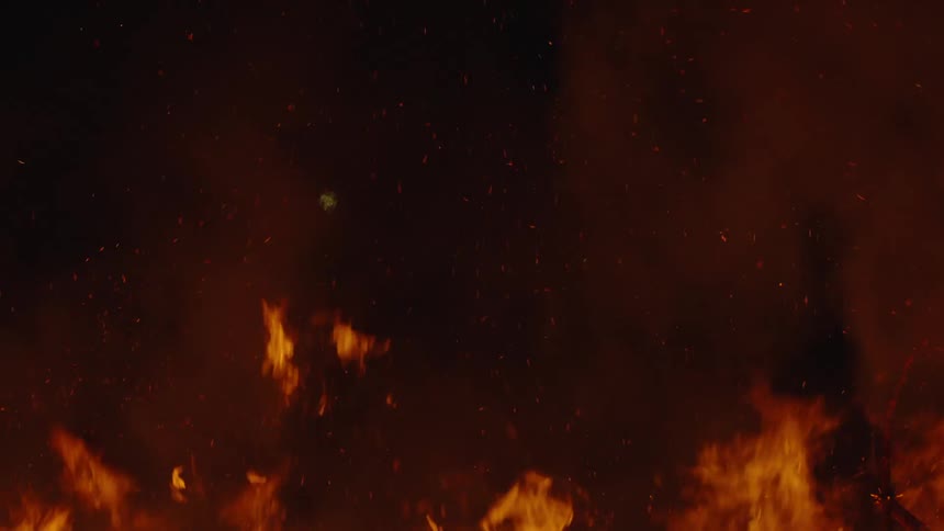 The forest is burning at night