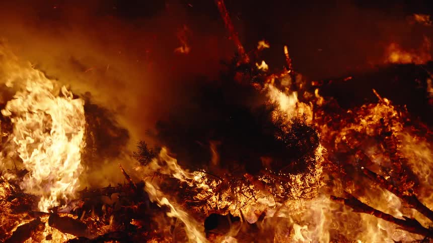Trees burn in a raging forest fire as blazing flames rise in the darkness