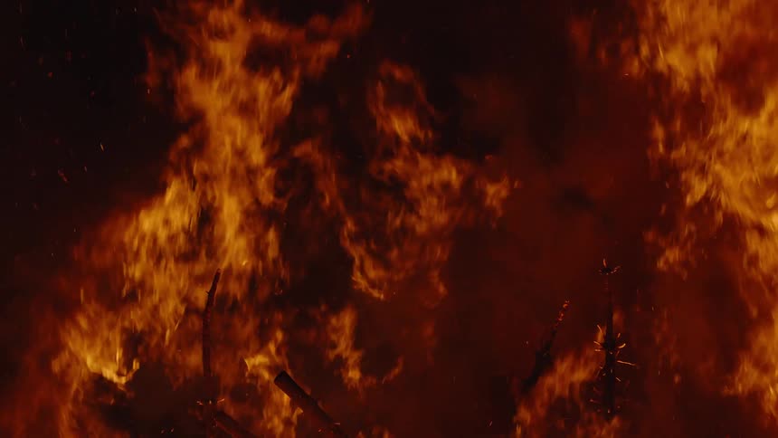 Trees burn in a raging forest fire as blazing flames rise in the darkness