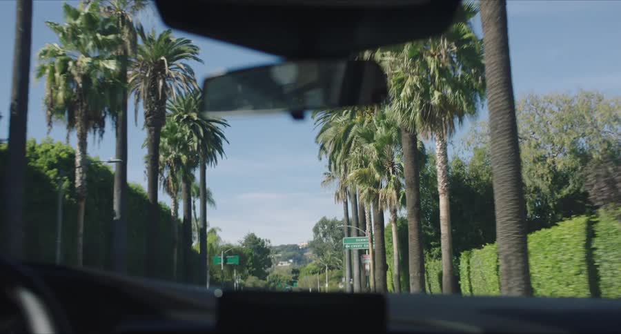A car interior that is driving and a street with many palm trees on the sides