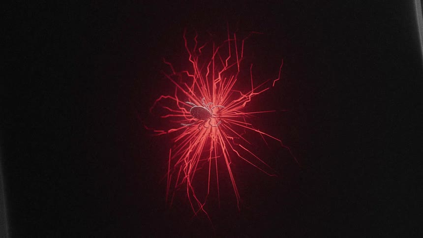A graphic of a spider is glowing red