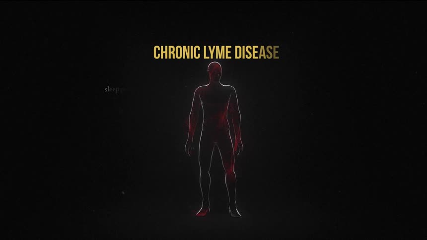 Graphic animation of the spider and its impacts on the human body with slide and information