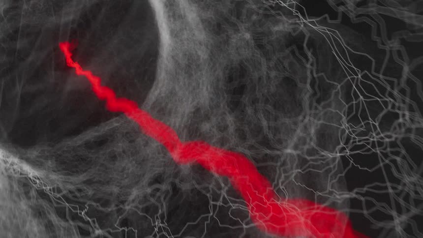 A graphic simulation of the human body