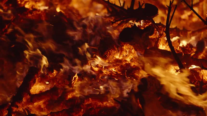 Several branches burning in an orange fire with high flames