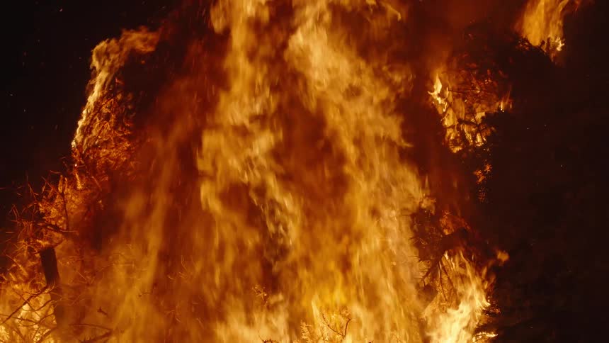 Flames and smoke rise from a raging forest fire