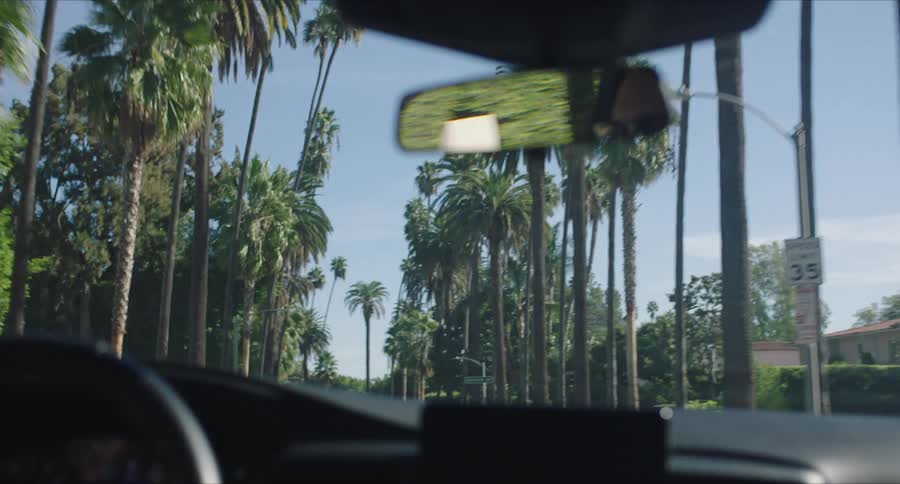 Man wearing glasses drives down a road with palm trees