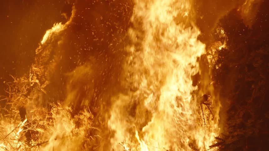 Strong fire burning a forest at night