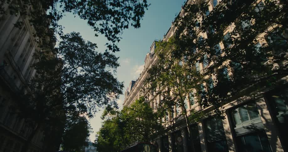 Trees and building in a metropolitan area during the day