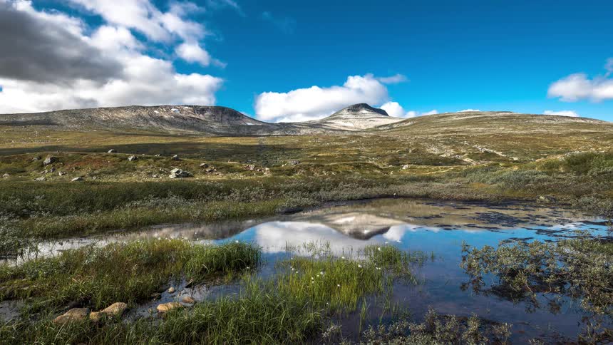 Landscape of a pond against the blue sky with floating clouds