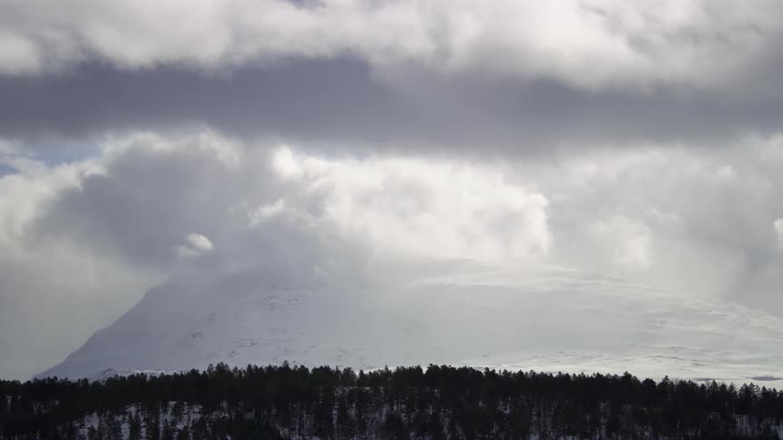 Aerial of a forest with glaciers during winter
