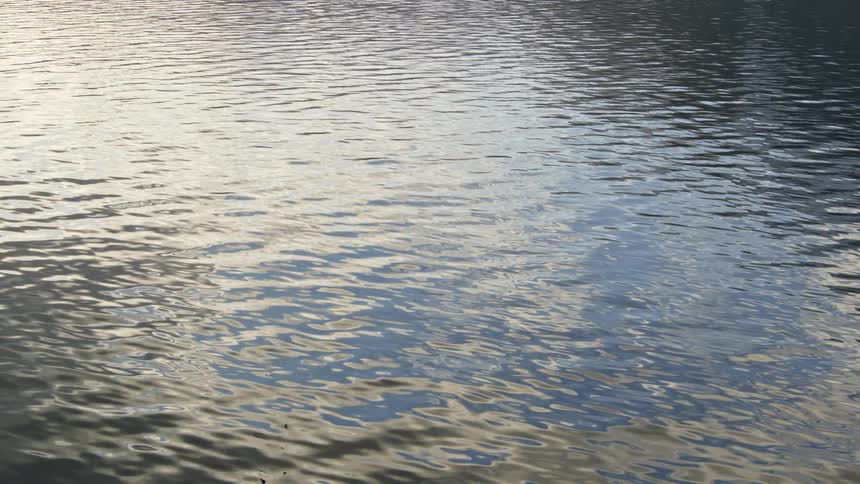 A water surface with small ripples going to the right