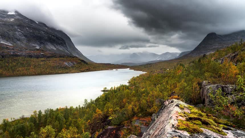 A clip of a riverbank close to the woods and a mountain