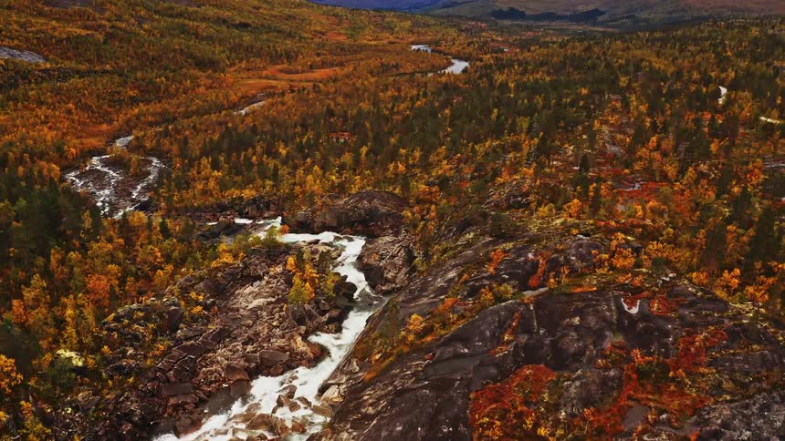 Landscape of flowing river amidst ruins and forests