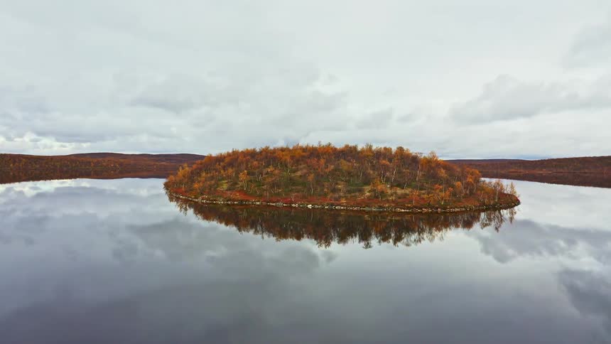 An aerial clip of a woods land closer to the river
