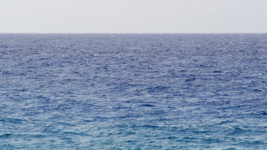 The waves move in the ocean