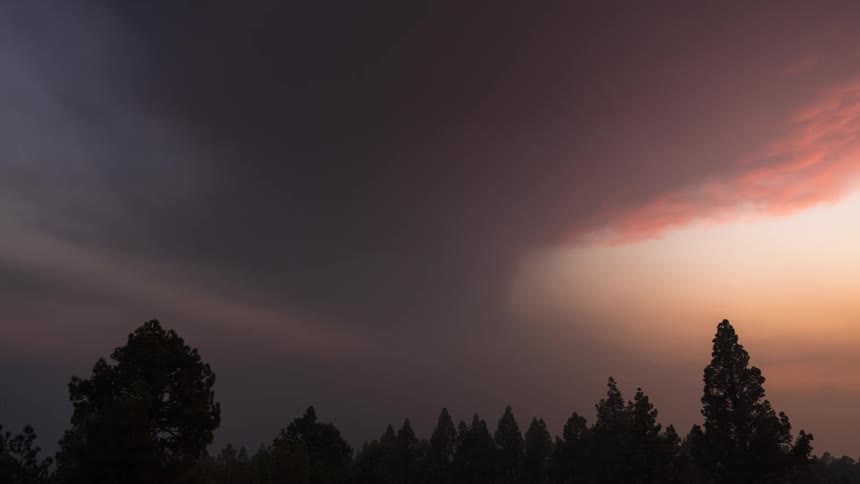 A day and night lapse clip of the forest