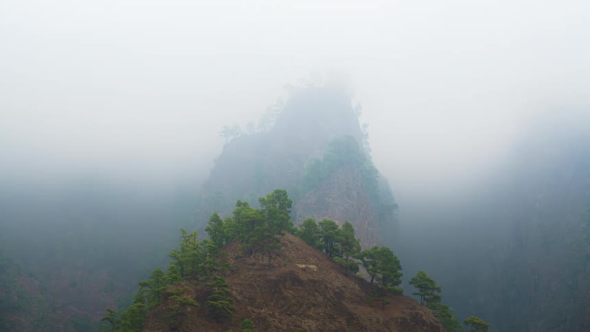 A misty landscape of mountains and sparse green trees surrounded by a thick fog