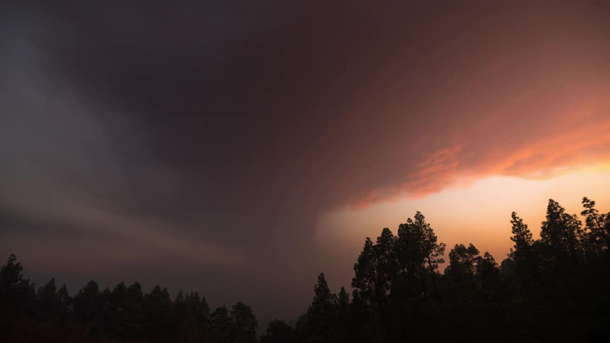 Storm clouds gather over a forest and dims the sun