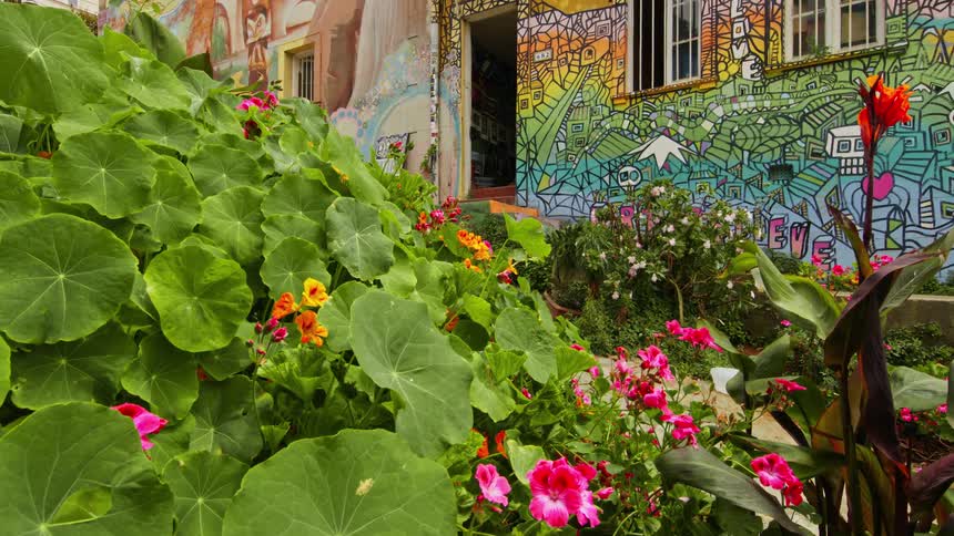 A garden in front of a building with art during the day
