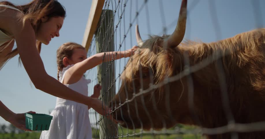 A woman feeds an animal while her daughter pets its head