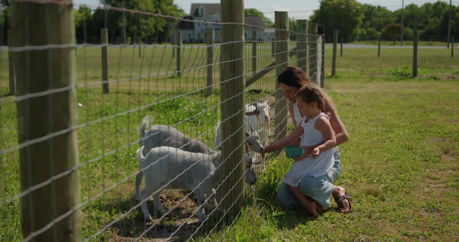 Mother and daughter feeding goats