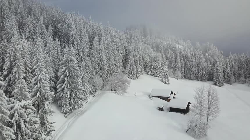 Low aerial perspective of cabins buried in snow on a hillside beside a dense forest with a clouded gray sky and no visibility in the background