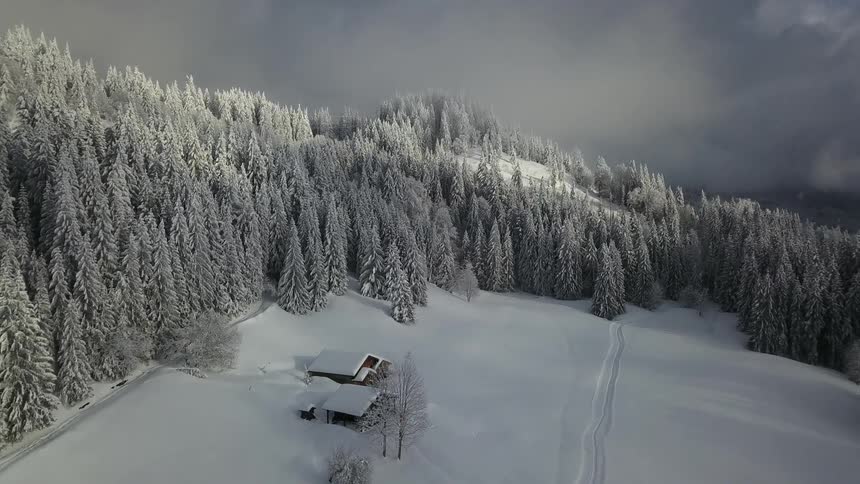 Aerial of a cabin in the woods during winter