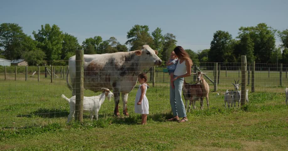 A mother showing her babies some cows and goats