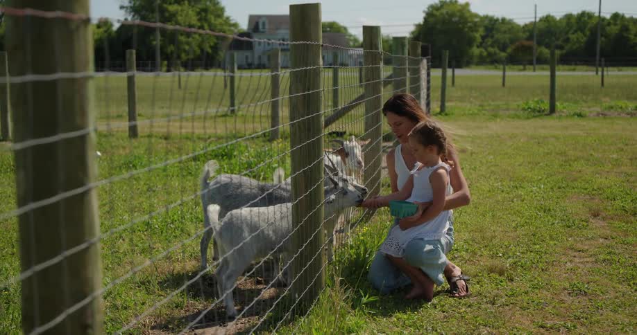 Mother and daughter feeding goats on a farm in a rural town