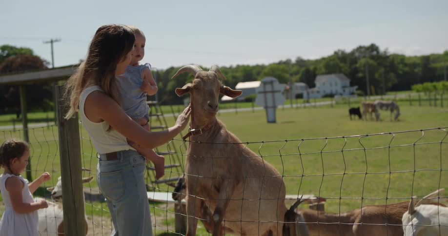 A mother holding a child feeding goats through a fence in a sunny rural setting