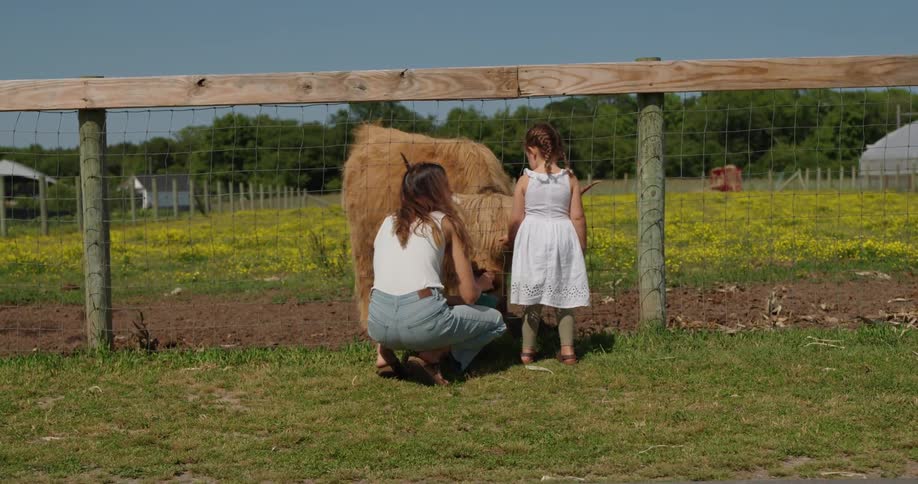 A woman crouching next to a little girl are feeding a buffalo through a grate