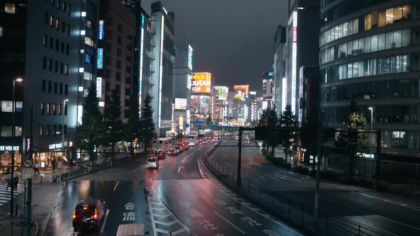 Street of a metropolitan city at night with pedestrian vehicle traffic