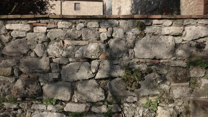 Shadows play on an old stone wall