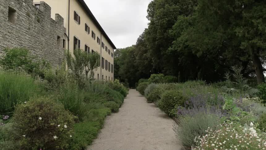 Shrubs and trees grow along a walkway behind buildings