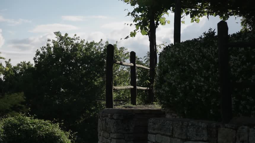 A stone wall with a wood fence stands amidst plants and trees