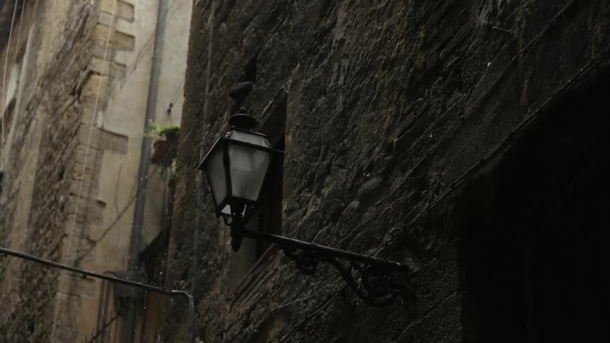 A bird is sitting on a lamp-post hung from an old building