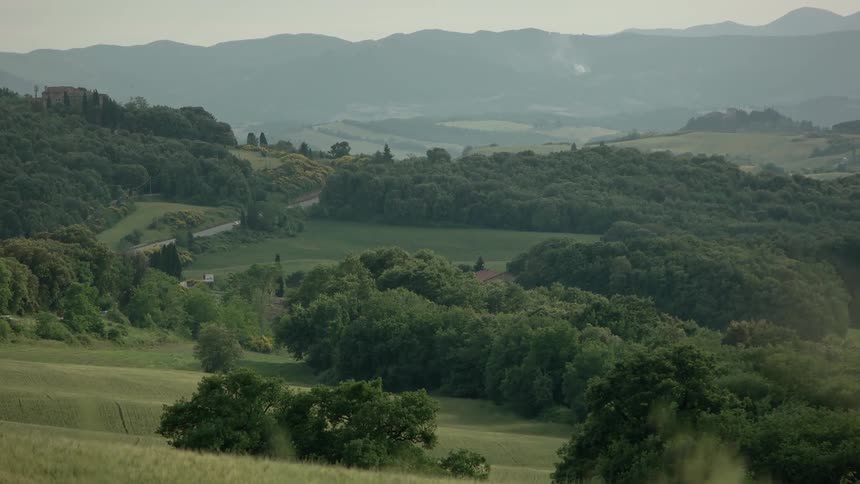 The fields are hilly and full of bushes and trees