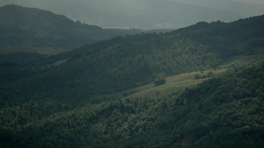 A scenic view of tree covered hills
