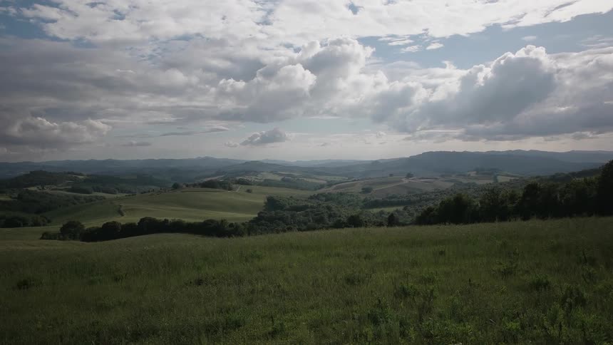 Lush green grass lines a mountain landscape