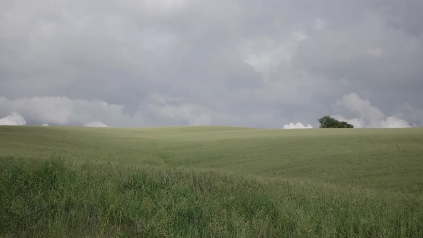 Green field on a very cloudy day