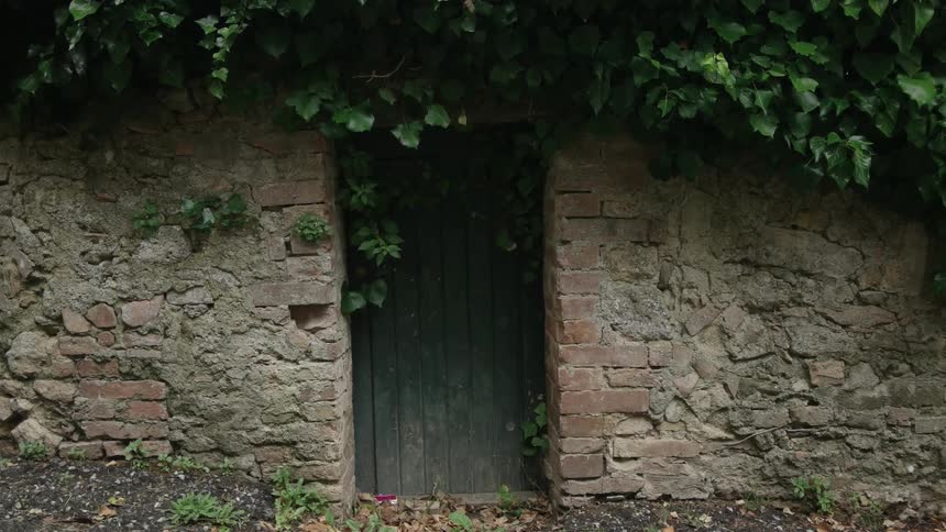Vines grow up a stone wall with an old wood door in the middle