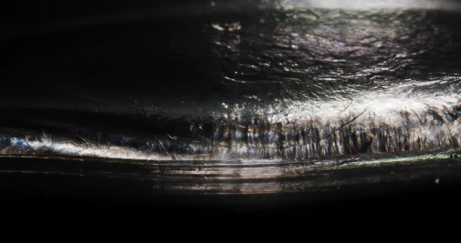 A strange hairy substance moves