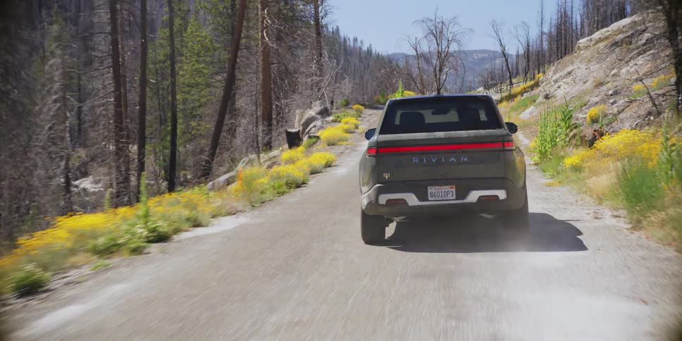 A vehicle is driving on a dirt road surrounded by yellow wildflowers in the forested mountains
