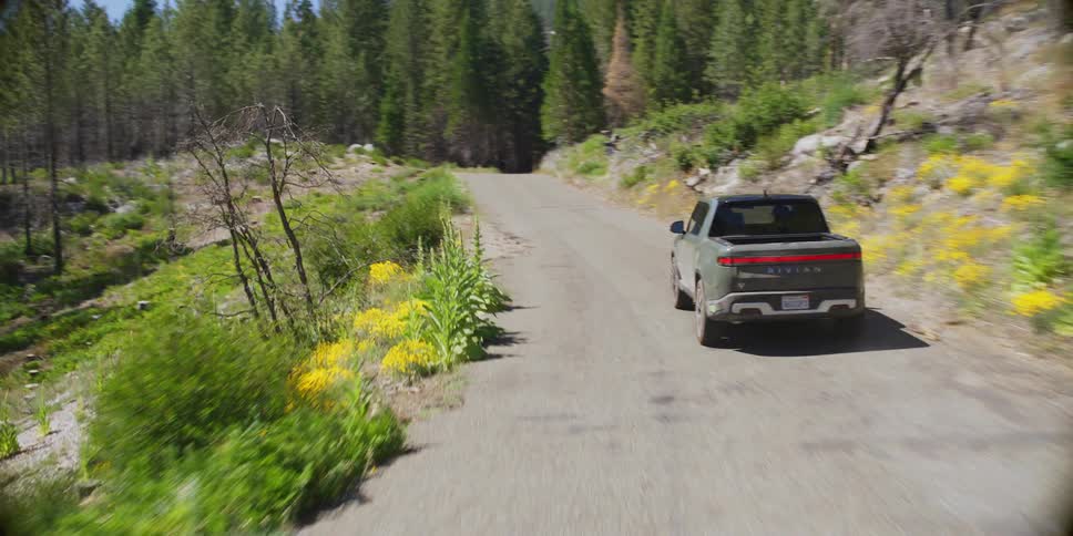 A gray pickup truck is driving on a rural street in the middle of a pine forest