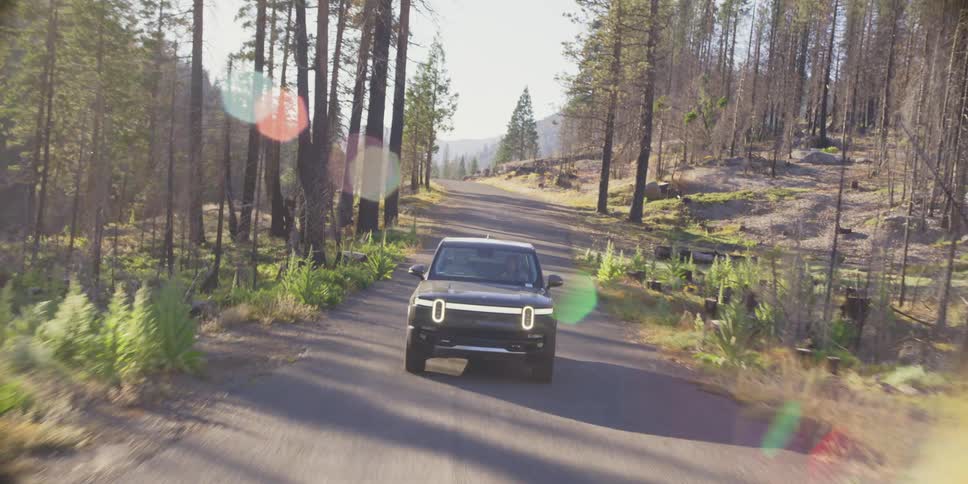 A person driving a car on a rural road and next to it there is forest