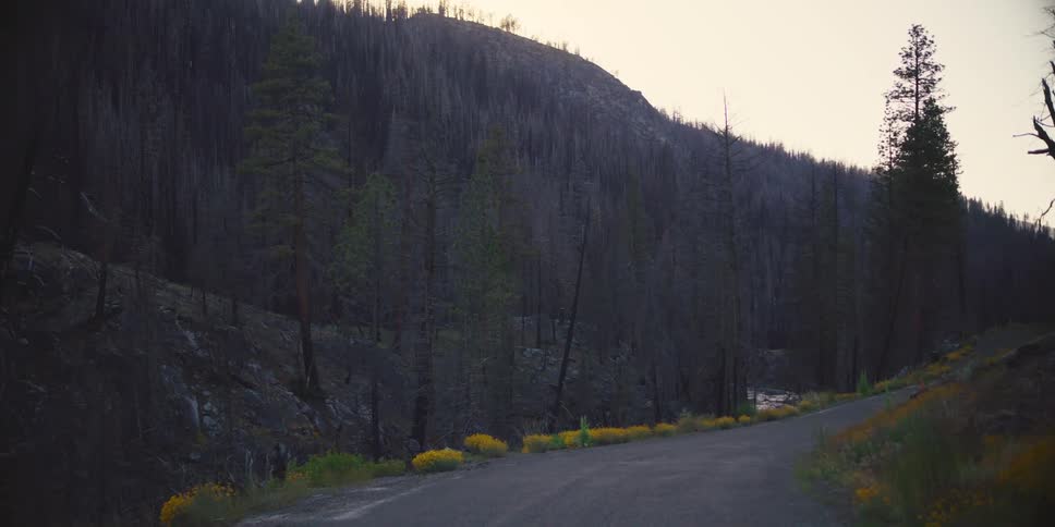A rural region with a road that passes close to a mountain full of trees