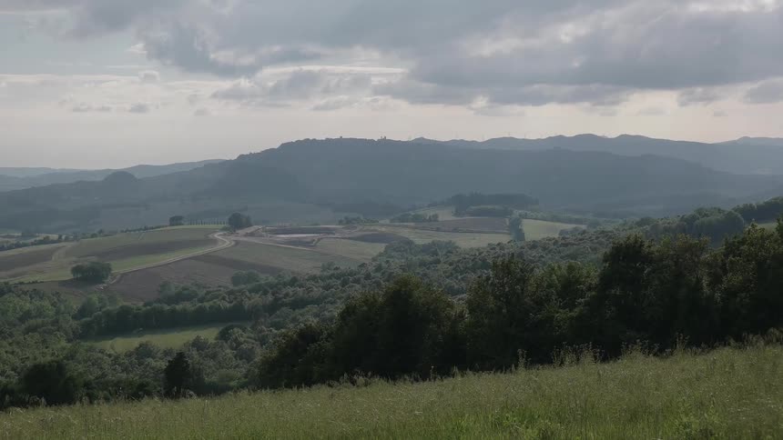 Grass sways light on a mountainous landscape