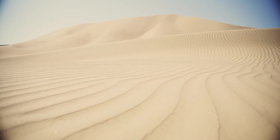 A vast expanse of sand dunes under a clear sky with patterns created by the wind